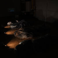 Atelier Prof. Georg Winter, Freie Kunst